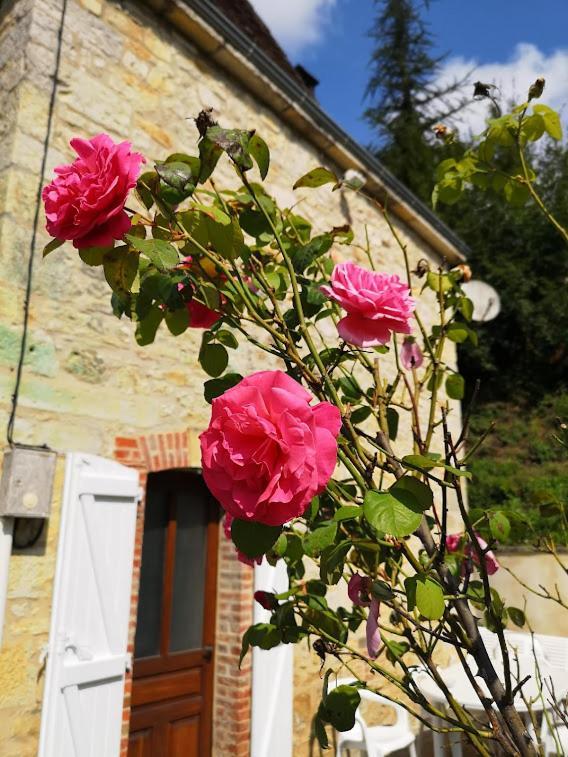 La Maison De Zelia Boissieres (Lot)